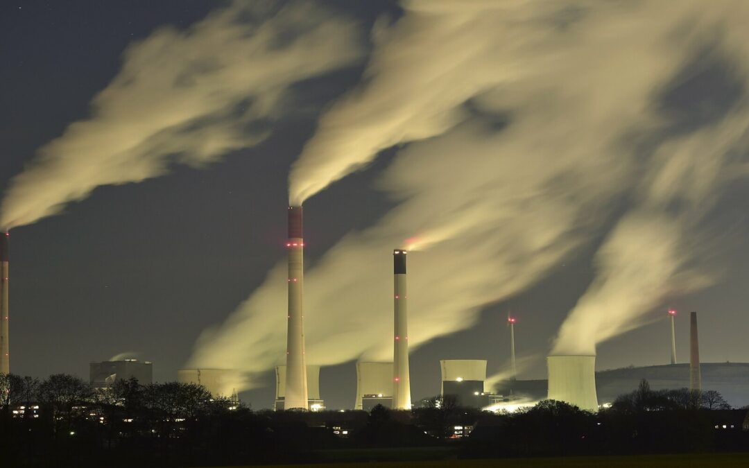 Globalization may actually be better for the environment